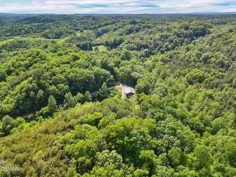 View/Area - 1668 Goodwater Rd, Bybee, TN 37713 photo 4 of 6