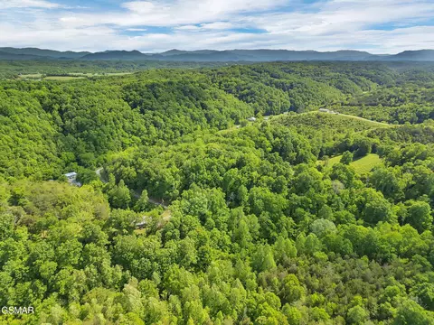 View/Area - 1668 Goodwater Rd, Bybee, TN 37713 photo 3 of 6