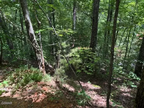 lot1302 Balsam Cir, Sevierville, TN 37876