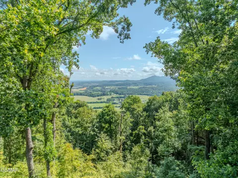 431 Thomas Loop Rd, Sevierville, TN 37876 photo 55