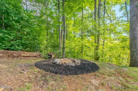 431 Thomas Loop Rd, Sevierville, TN 37876 photo 50