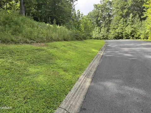 lot11 Cove Springs Dr, Dandridge, TN 37725