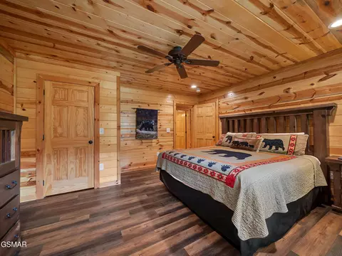 Undisclosed, Pigeon Forge, TN photo 30