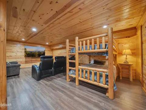 Undisclosed, Pigeon Forge, TN photo 39