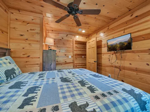 Undisclosed, Pigeon Forge, TN photo 33