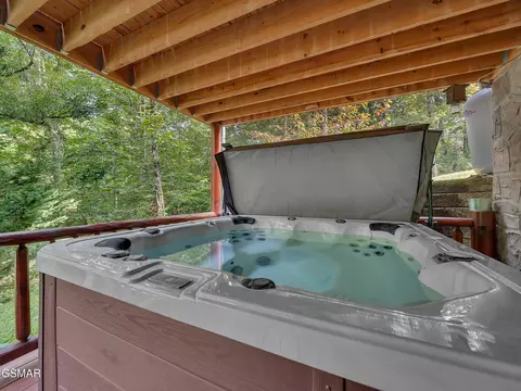 Undisclosed, Pigeon Forge, TN photo 23