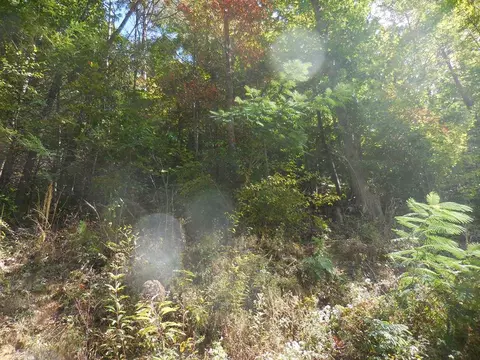 lot7 Hidden Valley Rd, Gatlinburg, TN 37738