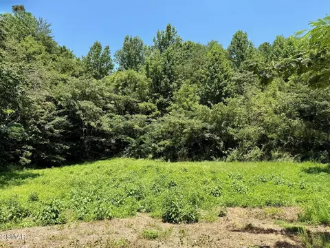 lot0000 Ogle Dr, Pigeon Forge, TN 37863