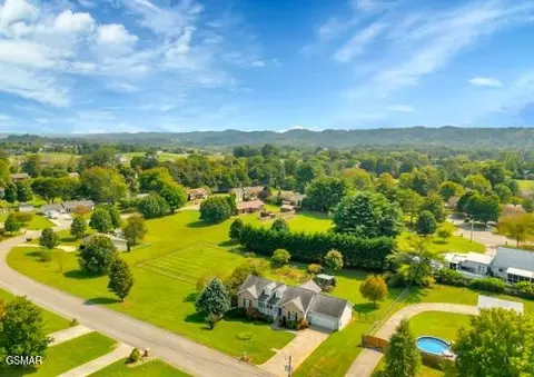 225 Golden Rod Dr, Seymour, TN 37865