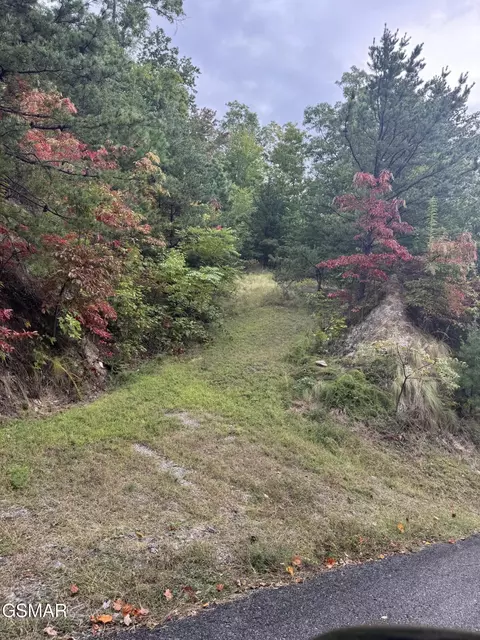 lot49 Enclave Park Way, Sevierville, TN 37862