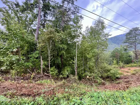 1727 Bluff Ridge Rd, Sevierville, TN 37876