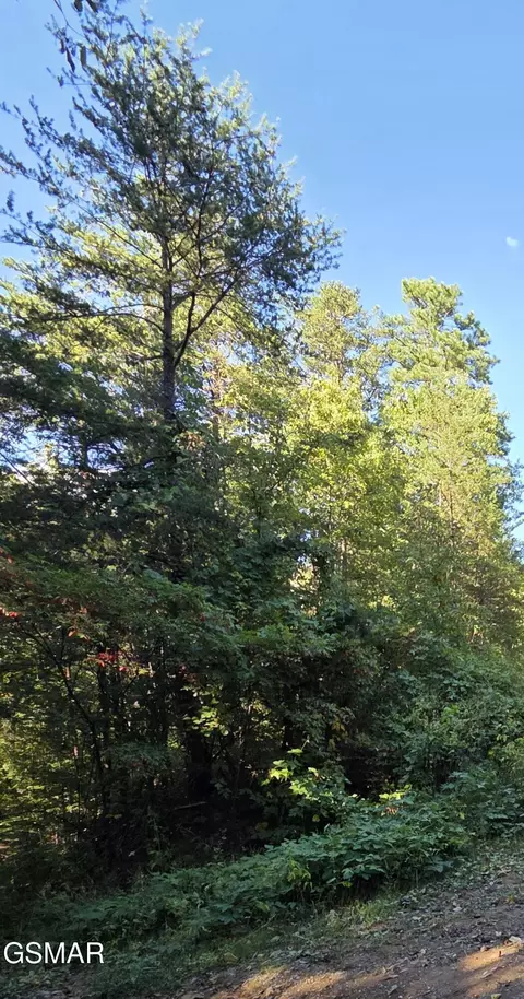 lot61 Buttonwood Dr, Sevierville, TN 37876