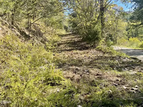 0 Thurman Rd, Newport, TN 37821