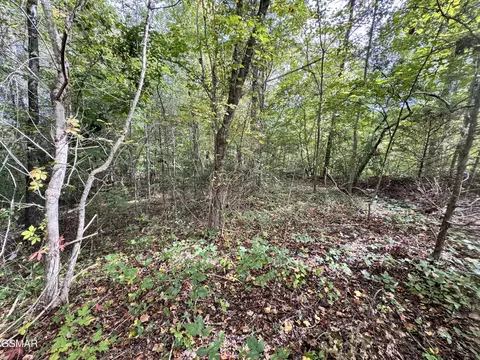 lot90 Owls Cove Way, Sevierville, TN 37862