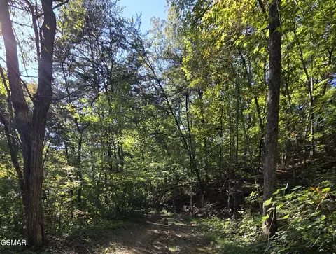 lot98 Short Redbud Ln, Sevierville, TN 37876