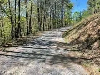 lot18 Castle Rise Way, Sevierville, TN 37862