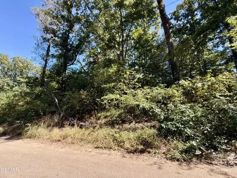 lot9 St Johns Dr, Dandridge, TN 37725