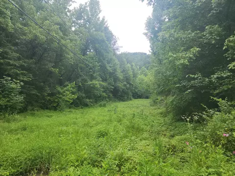 00 Rocky Flats Rd, Sevierville, TN 37876