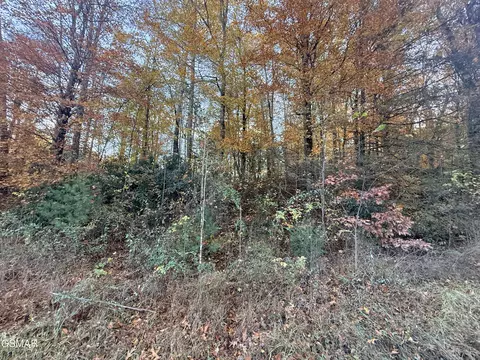 lot42 43 Deerfoot Rd, Newport, TN 37821