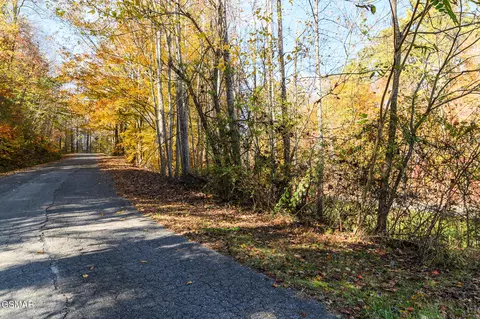 lot1 Jones Cove Rd, Cosby, TN 37722