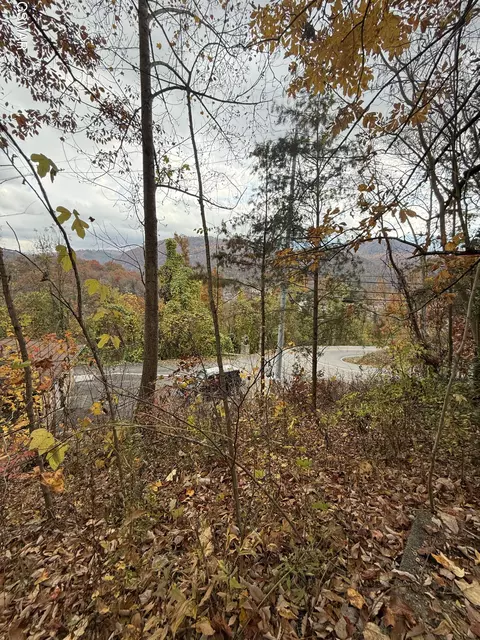 278 Greystone Heights Rd, Gatlinburg, TN 37738