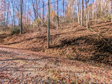 lot1272 Raymond Hollow Rd, Sevierville, TN 37876
