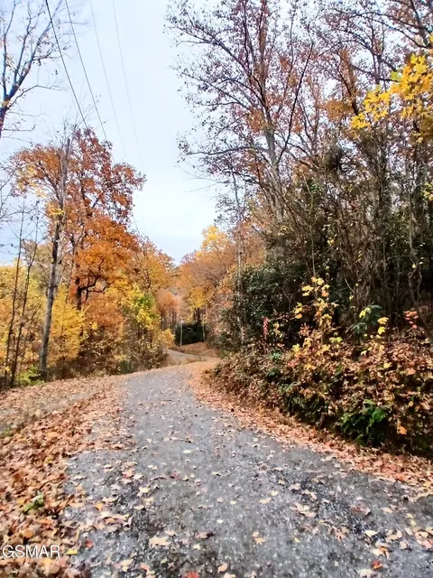 lot3 Rocky Ridge Rd, Cosby, TN 37722