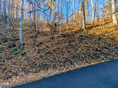 lot339 Ridgefield Dr, Sevierville, TN 37876