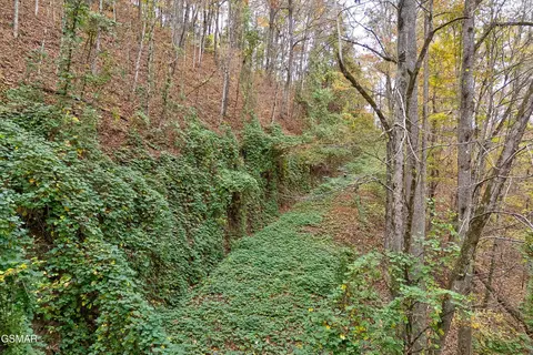 lot S 123 Timber Grove Rd, Sevierville, TN 37862