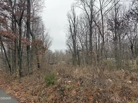 0 Collier Loop, Dandridge, TN 37725