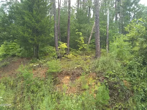 23 Walden Ridge Rd, Sevierville, TN 37862