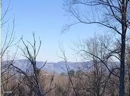 lot21 Wild Azalea Ln, Sevierville, TN 37862