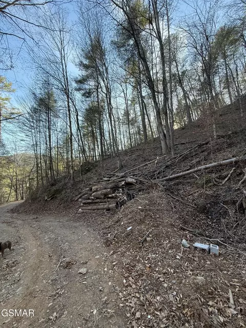 lot20 Meadow View Rd, Sevierville, TN 37862