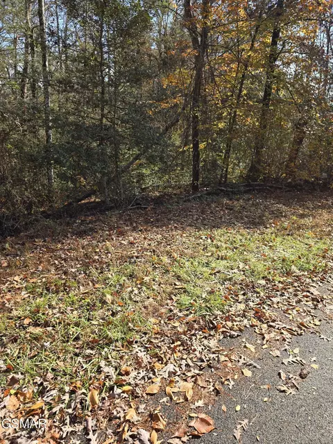 lot9 Montevallo Rd, Sevierville, TN 37876