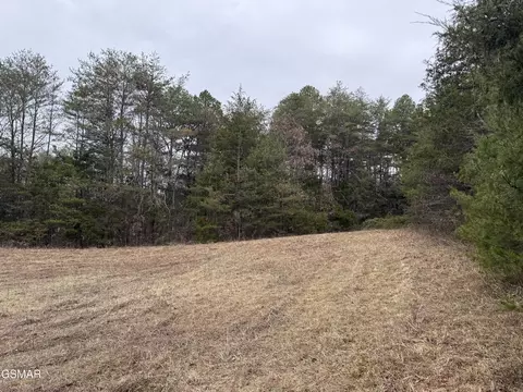 0 Off Allen Chapel Rd, Parrottsville, TN 37843