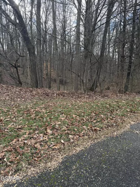 lot4 Pilgrim Rd, Dandridge, TN 37725