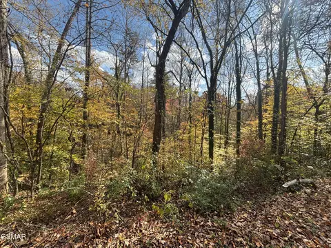 55 Pine Dr # A, Pigeon Forge, TN 37863