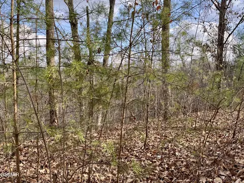 106 107 Dollys Dr, Sevierville, TN 37876