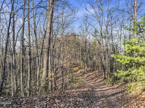 035 19 Forest Trails Drive Lot Tr R, Sevierville, TN 37876