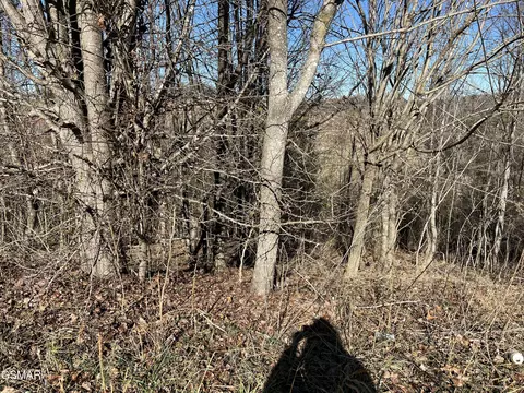 lot03 Baldwin View Dr, New Market, TN 37820