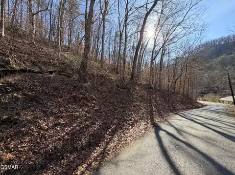 4 97 Ac Avondale Hollow Rd, Rutledge, TN 37861