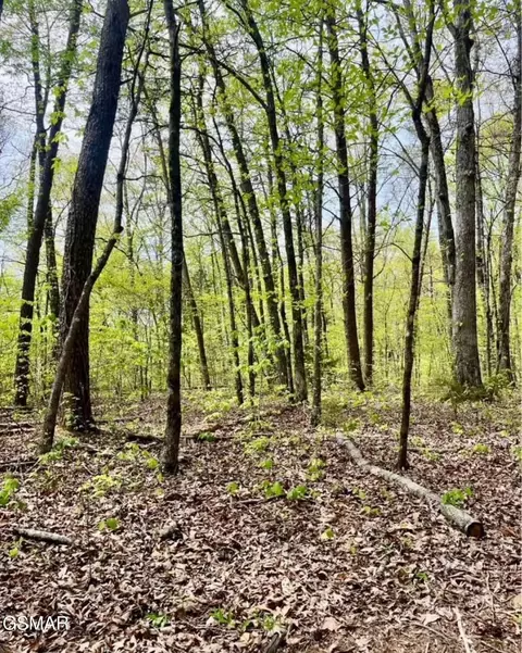 2682 Atchley Rd #LOT 1, Sevierville, TN 37876