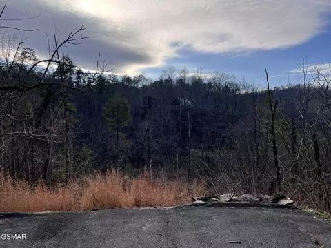 2333 Willow Ln, Sevierville, TN 37862