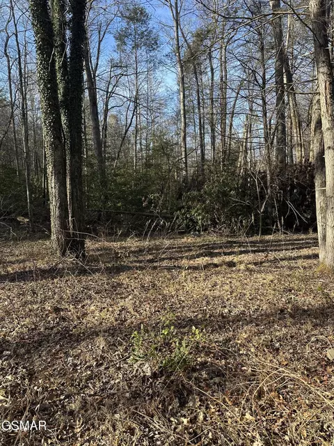 144 Cricket Hollow Way, Cosby, TN 37722