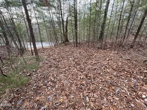lot79 Whetstone Rd, Sevierville, TN 37862
