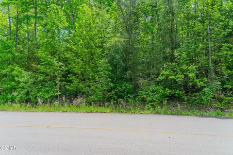 lot34 W Long Rifle Rd, Walland, TN 37886