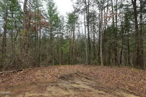 lot23 Alpine Ridge Way, Sevierville, TN 37876