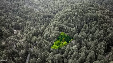 lot10 Stepping Stone Dr, Sevierville, TN 37862