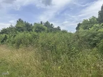 0 Saddleridge Dr, Speedwell, TN 37870