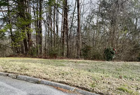 lot26 Blue Dun Ct, Pigeon Forge, TN 37863